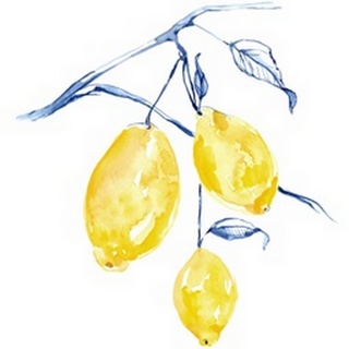 Watercolor Lemons I