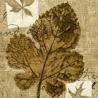 Leaf Collage IV