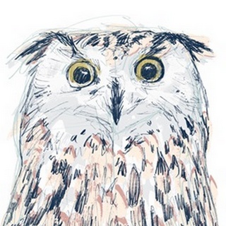 Funky Owl Portrait II