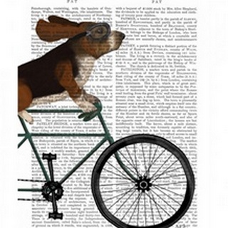 Basset Hound on Bicycle
