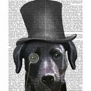 Black Labrador, Formal Hound and Hat