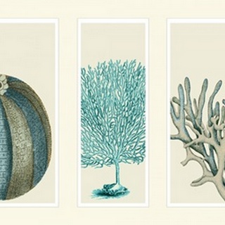 Blue Corals and Sea Urchins in 3 Panels