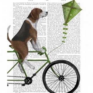 Beagle on Bicycle