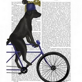 Black Labrador on Bicycle