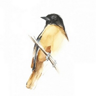 Watercolor Songbirds VI