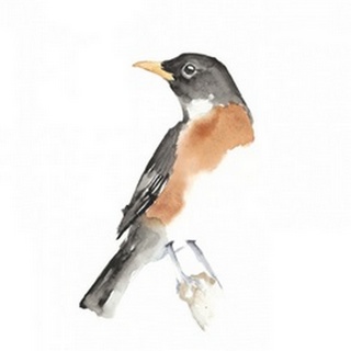 Watercolor Songbirds IV