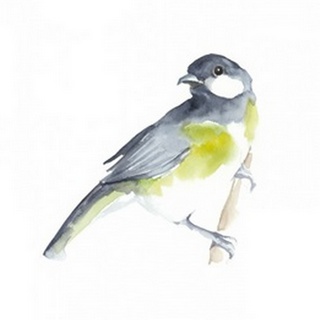 Watercolor Songbirds II