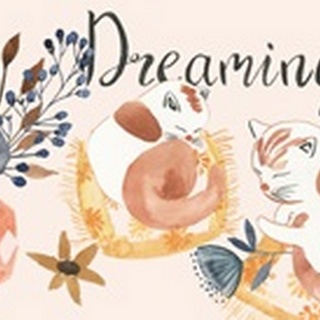 Sleep to Dream Collection D