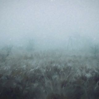 Blue Mist
