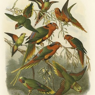 Red Cassel Birds I