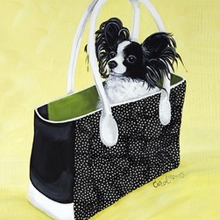 Papillon Carry-On