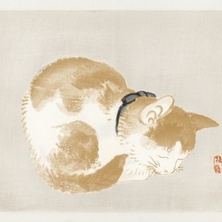 Kono Bairei Cat II