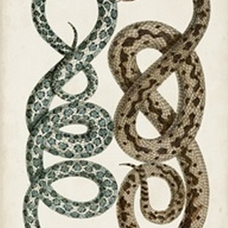 Antique Snakes IV