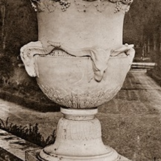 Versailles Urn III
