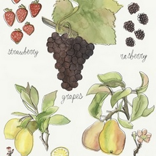 Fruit Medley II
