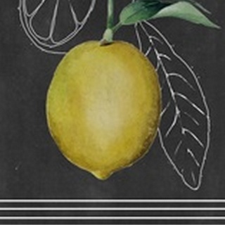 Chalkboard Citrus Collection B