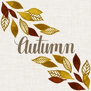 Contemporary Autumn Collection A