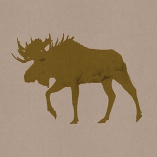Golden Moose II