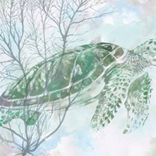 Watercolor Sea Turtle I
