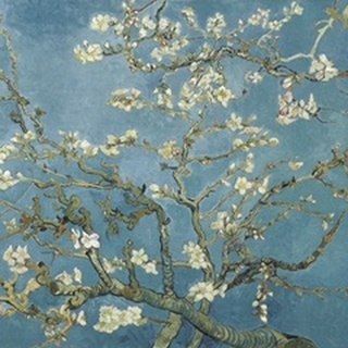Van Gogh's Almond Blossom I