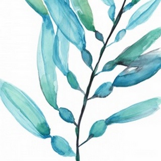 Watercolor Kelp I