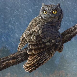 Owl in Winter I
