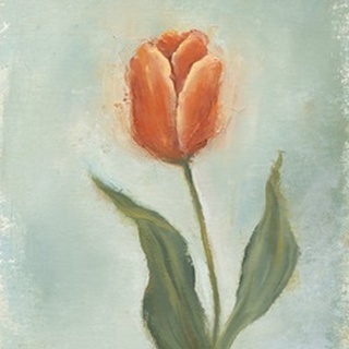 Painted Tulips V