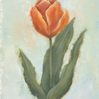 Painted Tulips IV