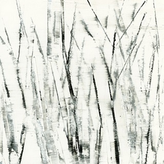 Birches I