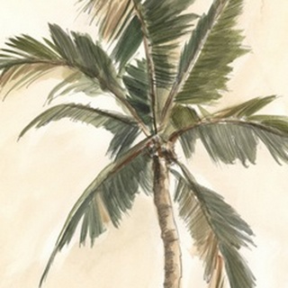 Antique Watercolor Palm Study II