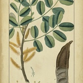 Vintage Turpin Botanical VII