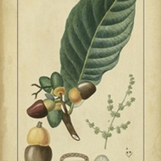 Vintage Turpin Botanical IV