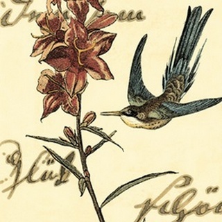 Small Hummingbird Reverie IV