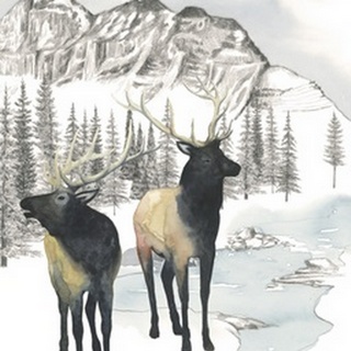 Winter Elk II