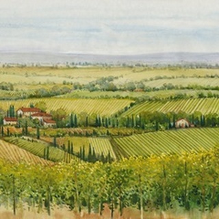 Wine Country View I