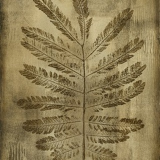 Sepia Drenched Fern I