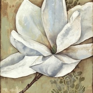 Magnolia Majesty II