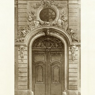 Ornamental Door I