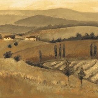 Golden Tuscany Afternoon II