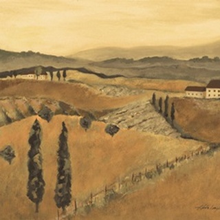 Golden Tuscany Afternoon I