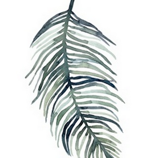 Watercolor Palm Leaves I