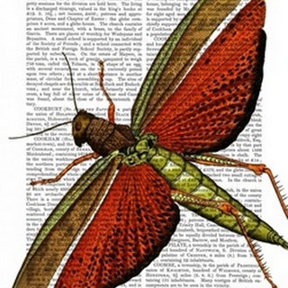 Vintage Grasshopper