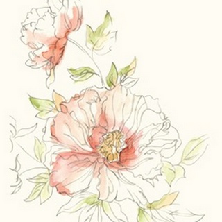 Watercolor Floral Variety I