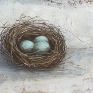 Rustic Bird Nest I