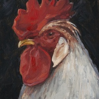 Rooster Portrait II