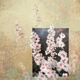 Cherry Blossom Abstract III