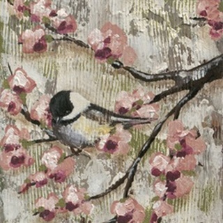 Cherry Blossom Bird II