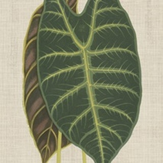 Leaves on Linen III