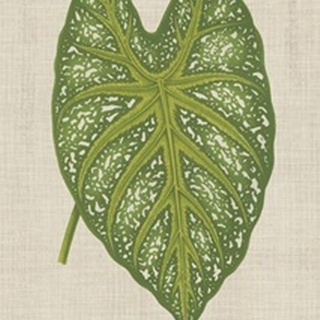 Leaves on Linen I