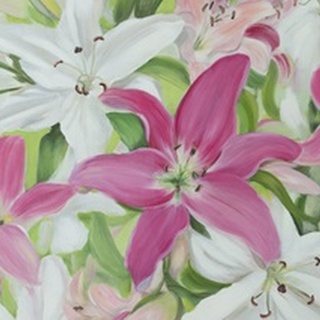 Pink and White Lilies III